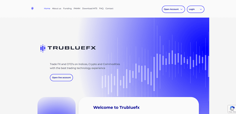 Trubluefx.com Logo