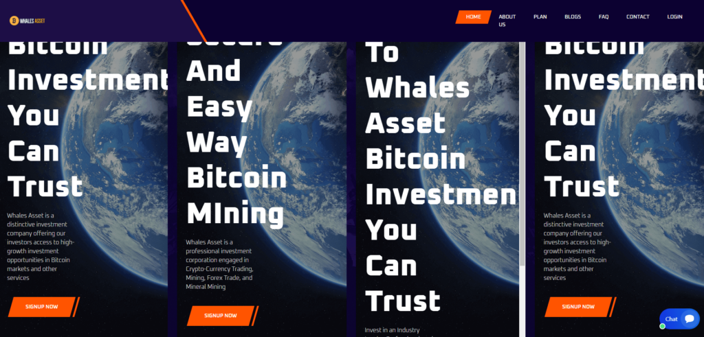 Whales-Asset.com Logo