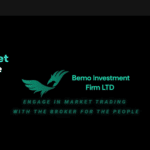 BemoInvestmentFirmLtd.vip Logo