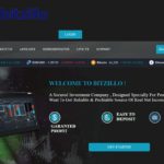 Bitzillo.org Logo