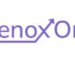 ElenoxOne.io Logo