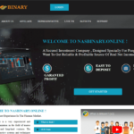 NasBinary.online Logo