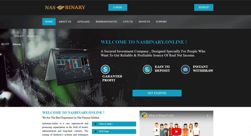 NasBinary.online Logo